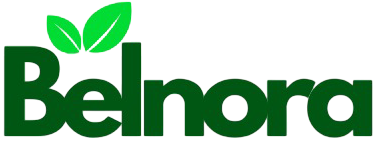 Belnora boutique